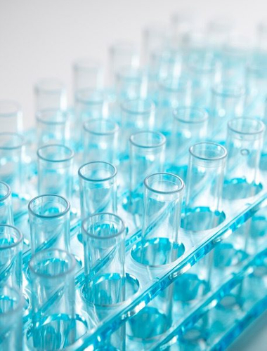 Chemical Raw Materials